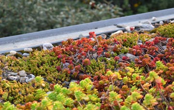 the cost of Smallthorne green roof installation
