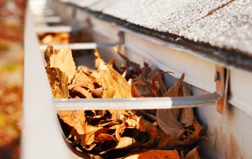 Smallthorne gutter cleaning companies