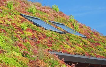 Smallthorne living roof systems