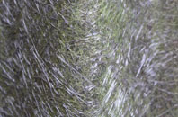 Smallthorne fibreglass roof work